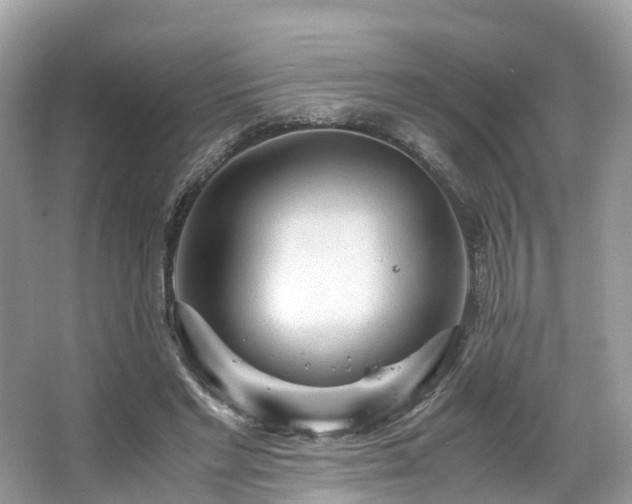X0000063470493200601231448
