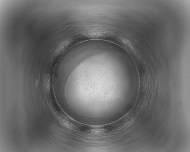 X0000063470495200601231448