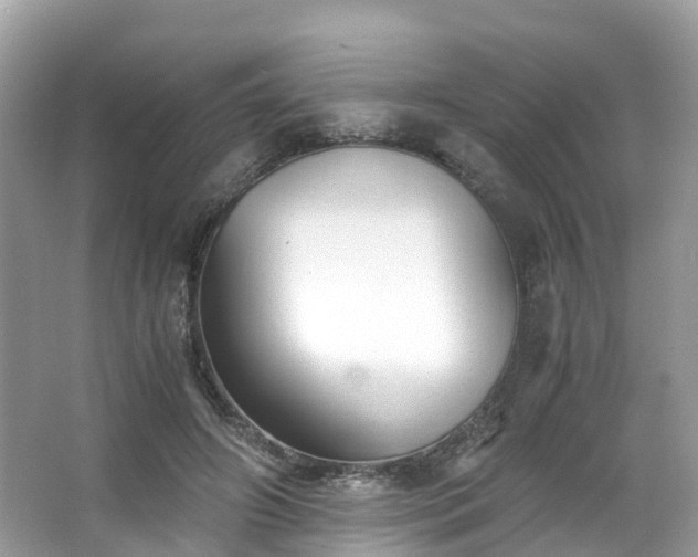 X0000063470498200601231448