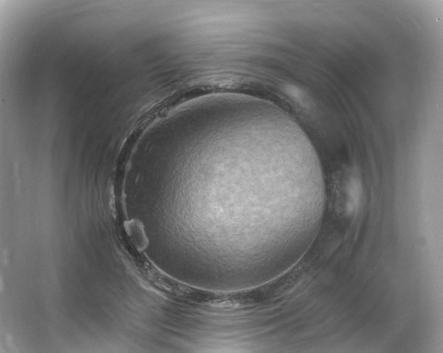 X0000063470500200601231448