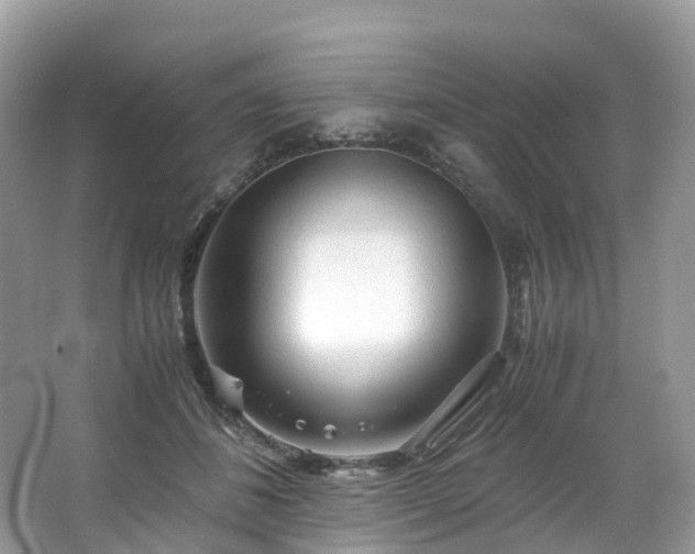 X0000063470508200601231448