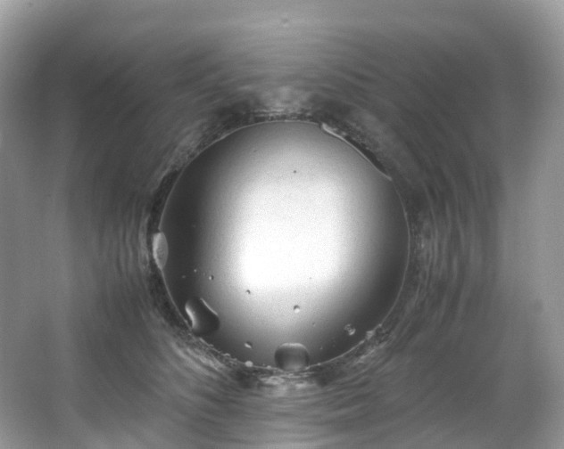 X0000063470516200601231448