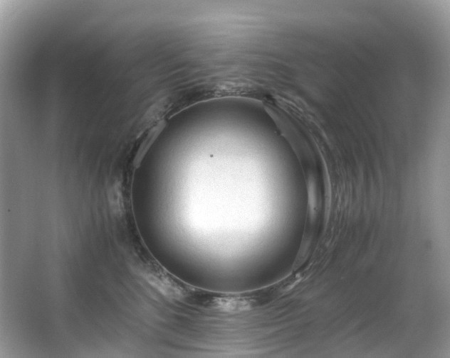 X0000063470520200601231448