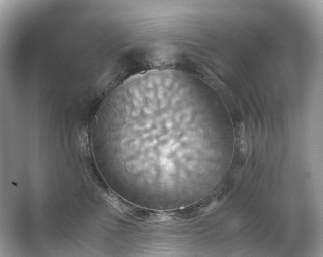 X0000063470523200601231448