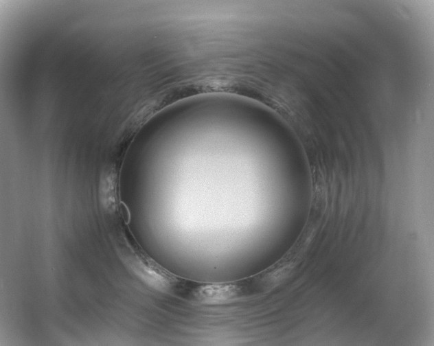 X0000063470526200601231448