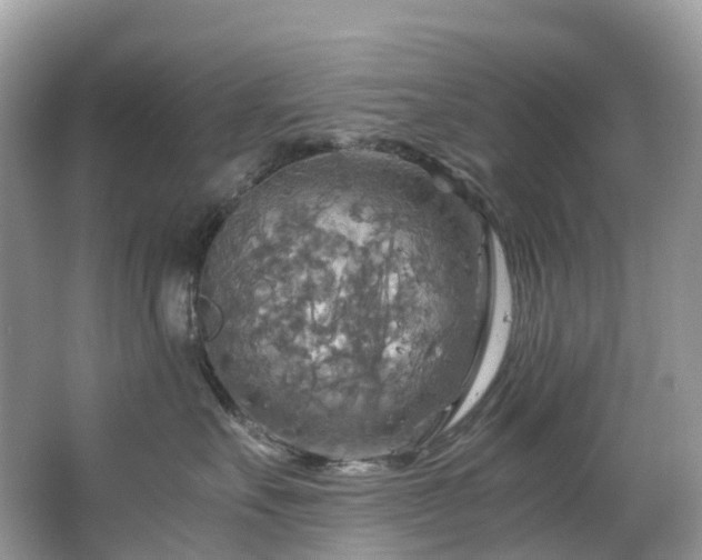 X0000063470527200601231448