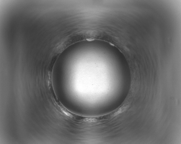 X0000063470528200601231448