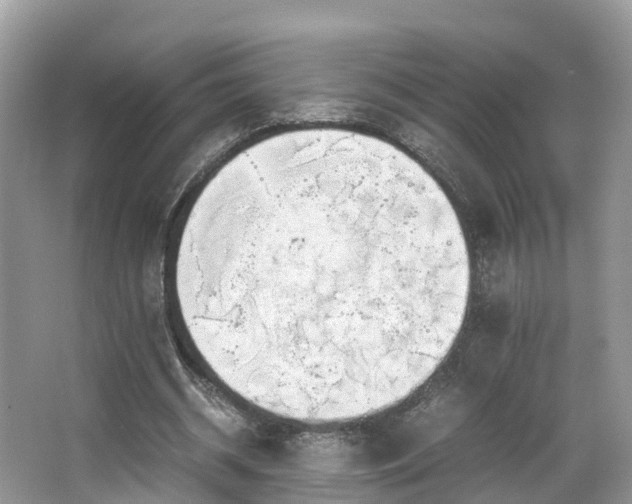 X0000063470534200601231447