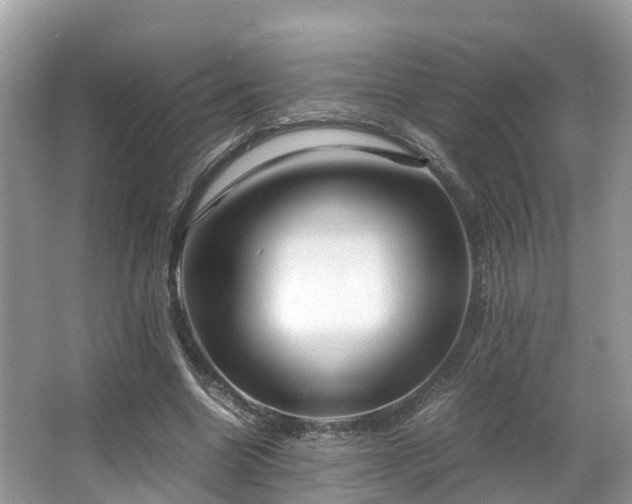 X0000063470538200601231447