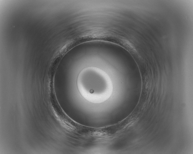 X0000063470542200601231447