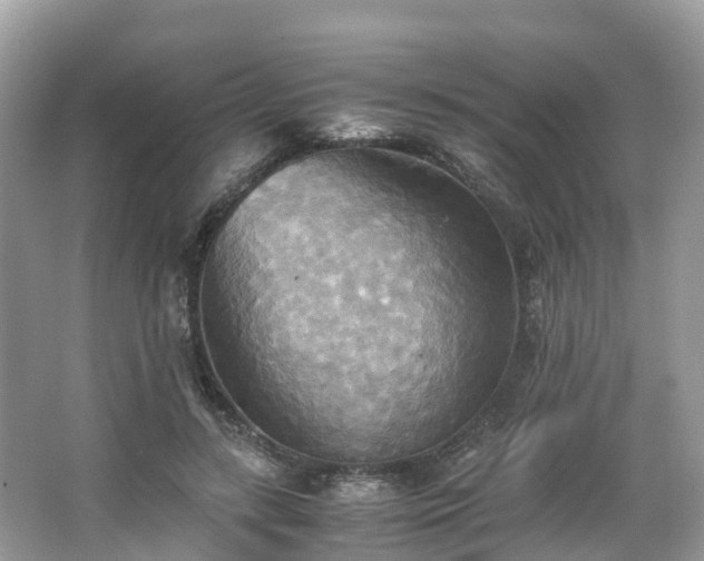X0000063470547200601231447