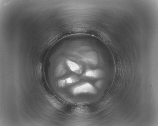 X0000063470550200601231447