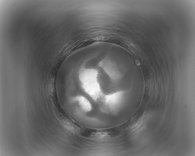 X0000063470554200601231447