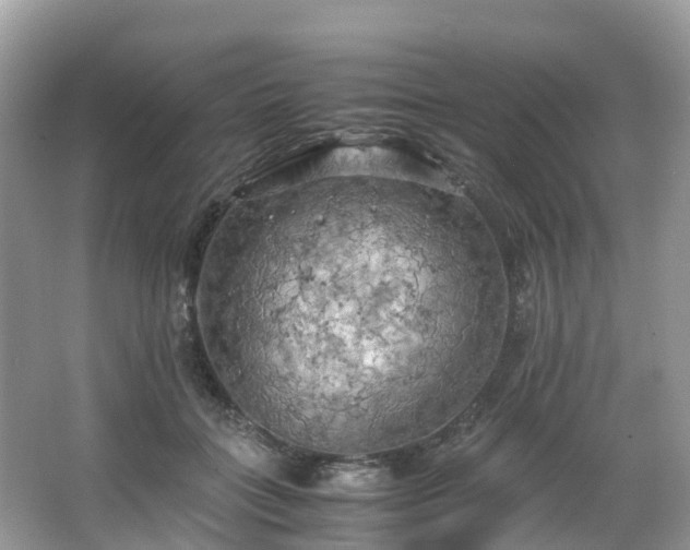 X0000063470555200601231447