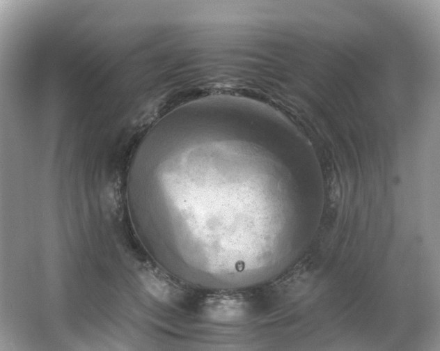 X0000063470559200601231447
