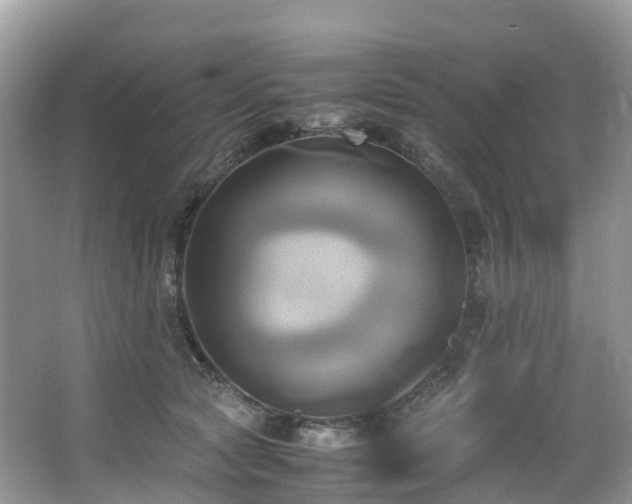 X0000063470561200601231447