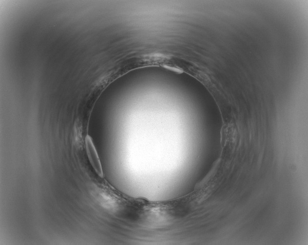 X0000063470564200601231447
