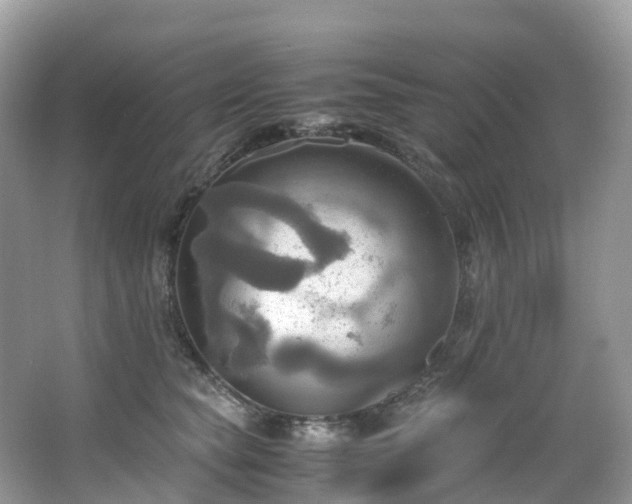 X0000063470565200601231447