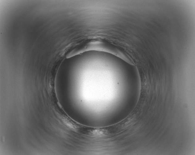 X0000063470566200601231447