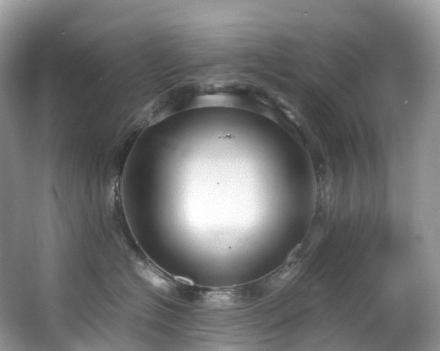 X0000063470574200601231447