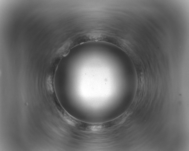 X0000063470575200601231447