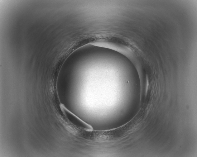 X0000063470593200601231446