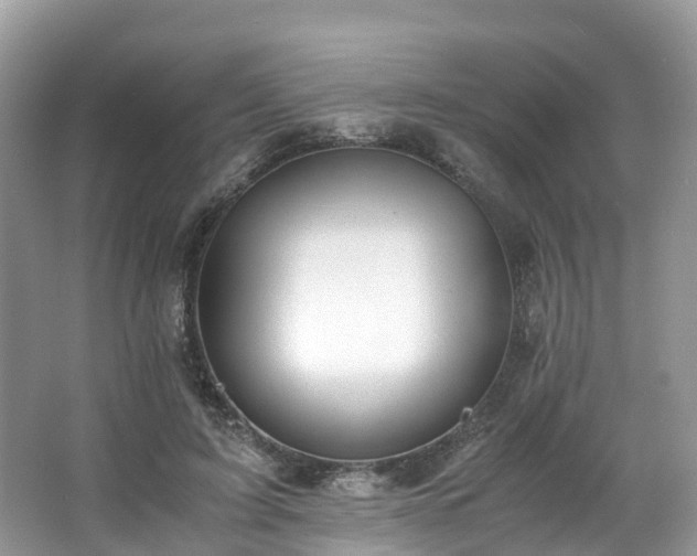 X0000063470595200601231446