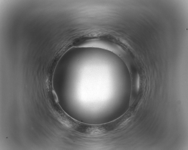 X0000063470597200601231446