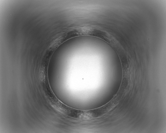 X0000063470599200601231446