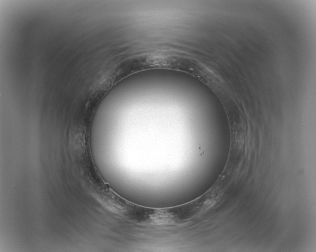 X0000063470603200601231446