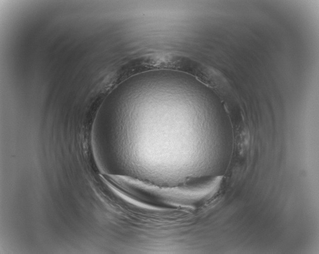 X0000063470607200601231446