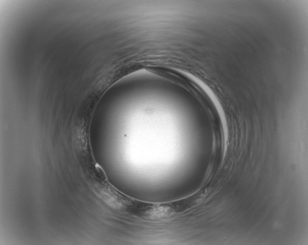 X0000063470609200601231446