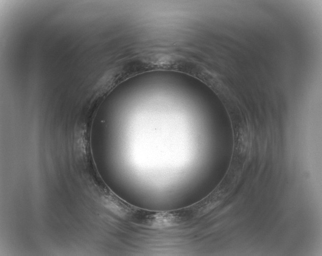 X0000063470612200601231446