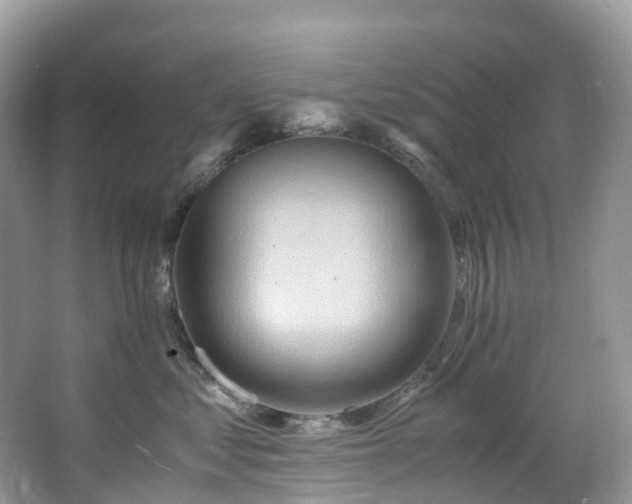 X0000063470621200601231446