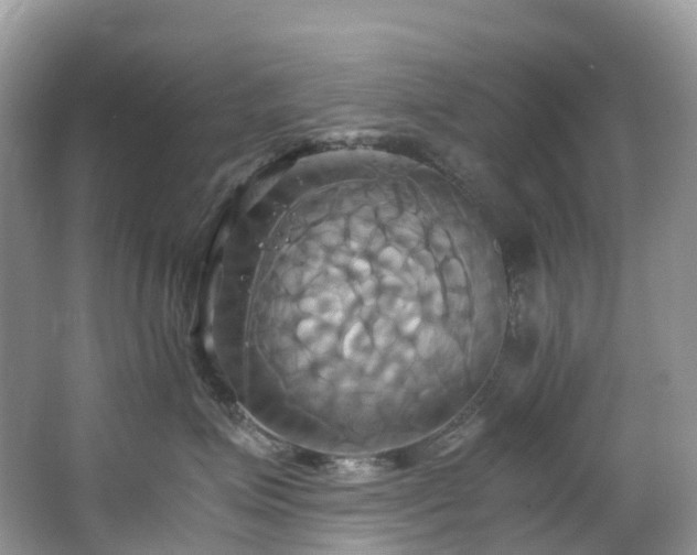 X0000063470623200601231446