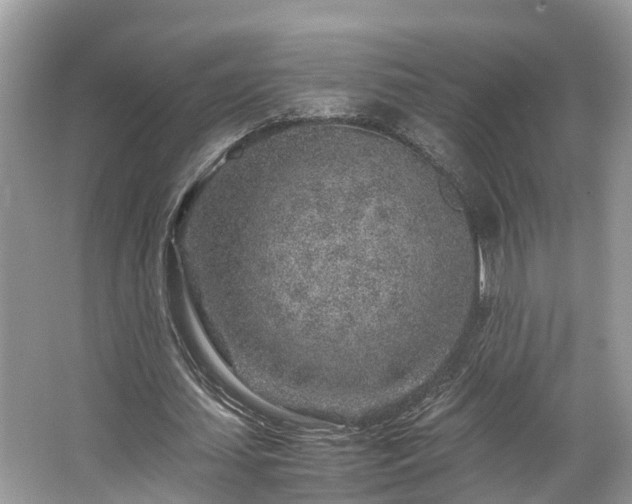 X0000063470627200601231445