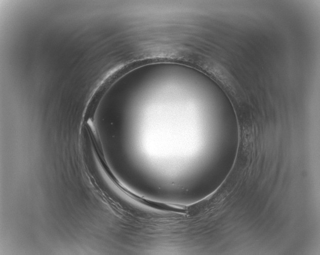 X0000063470628200601231445