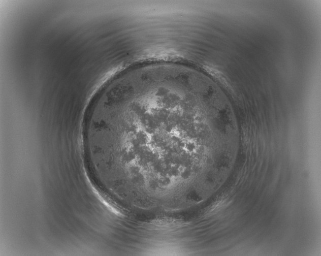 X0000063470630200601231445