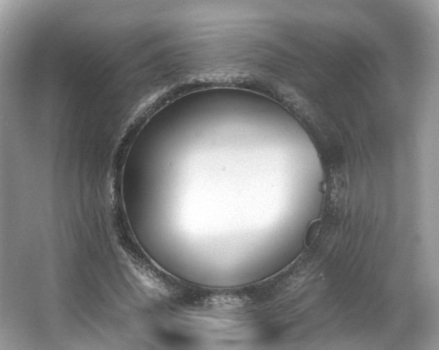 X0000063470636200601231445