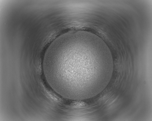 X0000063470642200601231445