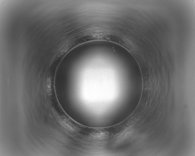 X0000063470646200601231445