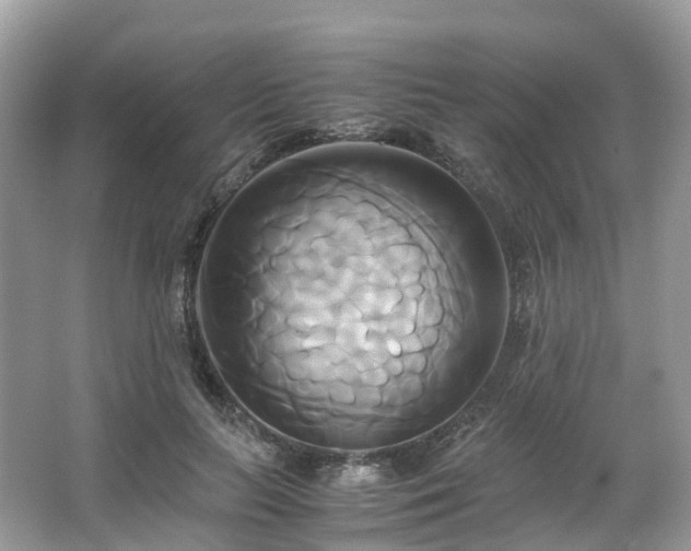 X0000063470647200601231445