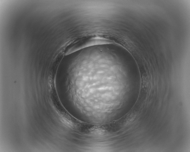 X0000063470648200601231445