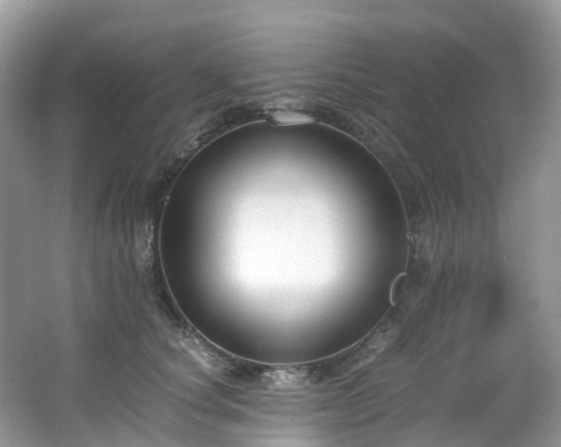X0000063470660200601231446