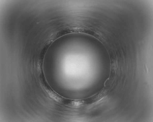 X0000063470662200601231446