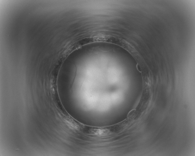X0000063470663200601231446