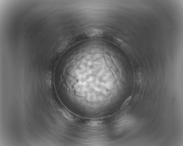 X0000063470664200601231446