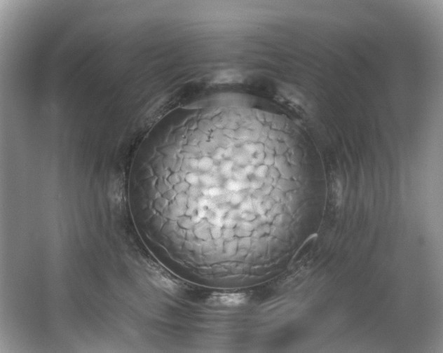 X0000063470665200601231446