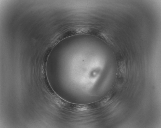 X0000063470667200601231446