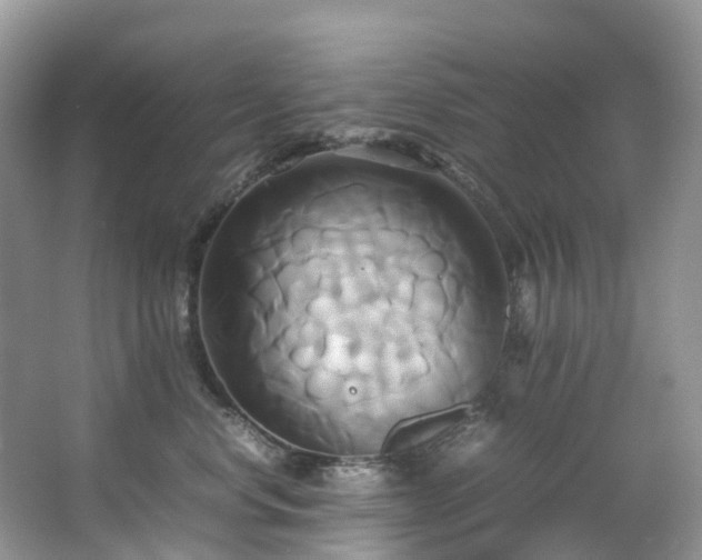X0000063470668200601231446